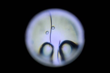 Makro görünümü Led ışık filamemt alev aldı.