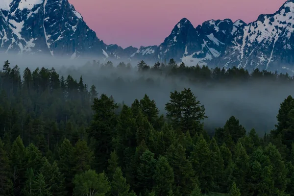 Floresta Foggy Abaixo Grand Tetons — Fotografia de Stock