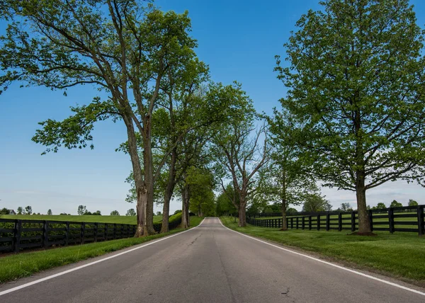 Low Angle Country Road Alinhado Com Cercas Pretas Verão — Fotografia de Stock