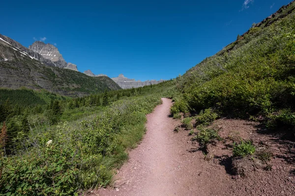 Grinnell Glacier Trail Cuts Green Valley Blue Sky Day — Stock Photo, Image