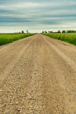 Kırsal kırsalında bulutlu gün uzun çakıl yol