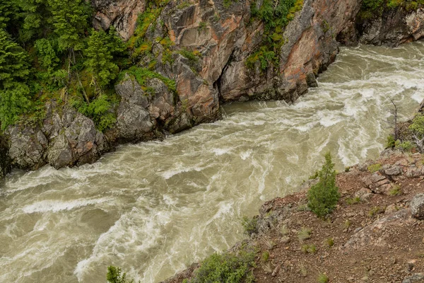 Rwący Rzeki Yellowstone Wąwozie Przecina Rock — Zdjęcie stockowe