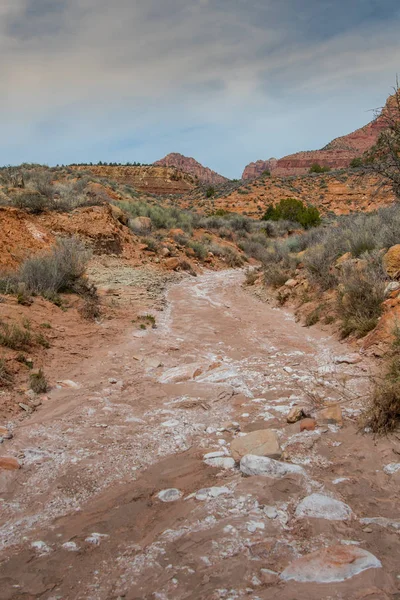 Mirando Hacia Abajo Huber Wash Desierto Utah — Foto de Stock