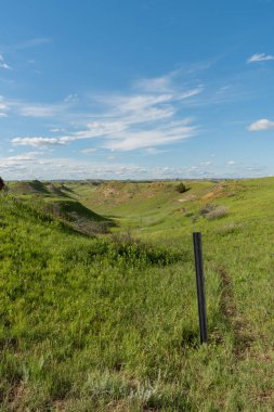 İz Marker Theodore Roosevelt Milli Parkı'nda yaz aylarında