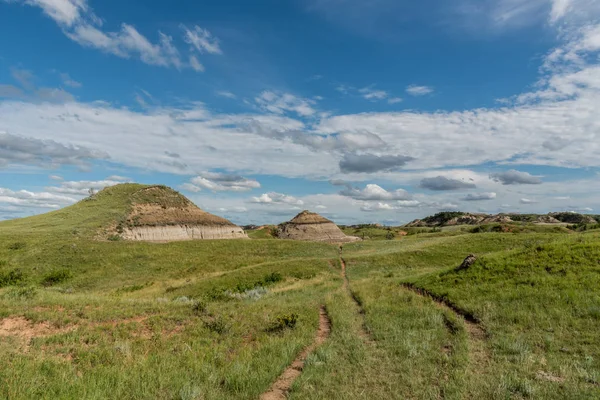 Buffalo Ścieżki Nad Prairie Regionie Północnej Badlands — Zdjęcie stockowe