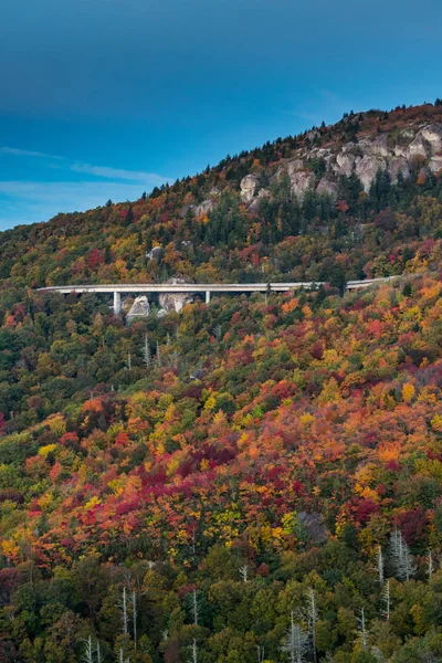 Leaves Changing Color Linn Cove Viaduct Fall Vertical — Stock Photo, Image