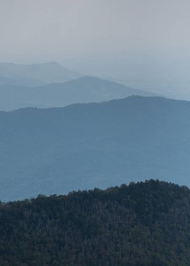 Sounthern Appalaş Dağları büyük Smoky Dağları Milli Parkı'nda sisli sırtlar katmanları