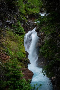 Rock buzul vahşi aracılığıyla gizli Falls açmaktadır