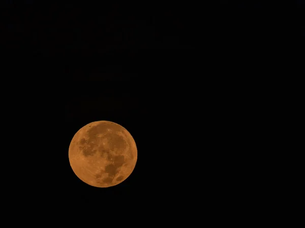 Orange Moon Sits Low Sky Copy Space — Stock Photo, Image