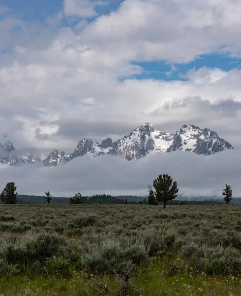 Thick Clouds at Base of Teton Range in Early Summer