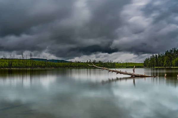 Utsikt Drivved Den Rolige Issjøen Med Stormskyer – stockfoto