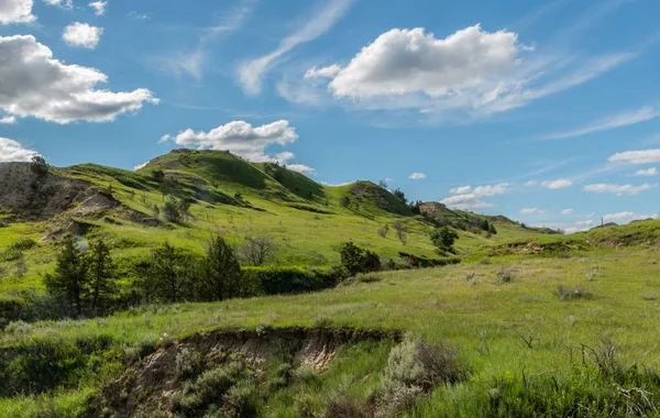 Green Hills en la pradera —  Fotos de Stock