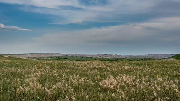 Tarwe grassen over veld met Badlands — Stockfoto