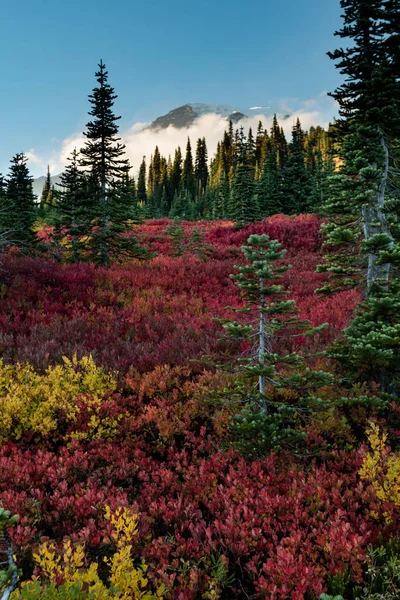 Nuvem rodeia Monte Rainier com cores de outono — Fotografia de Stock