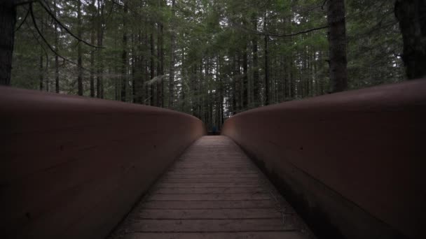 Uomo Abiti Caldi Croci Ponte Legno Verso Macchina Fotografica — Video Stock