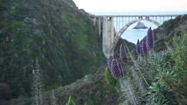 Mor çiçekler ve kopya alanı sol ile California kıyısında Bixby Köprüsü 