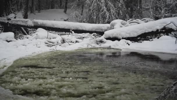 雪解け水が冬の嵐の中に雪の中で天然ダムの近く渦します — ストック動画