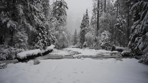 凍った小川に雪が降ると冬の嵐の中に下のヨセミテ滝 — ストック動画