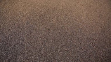 Beyaz köpük, Top, Sandy çerçeve kahverengi Plajı