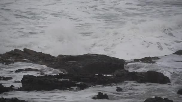 トールのオレゴン州の海岸に沿ってよくを介して波排水 — ストック動画