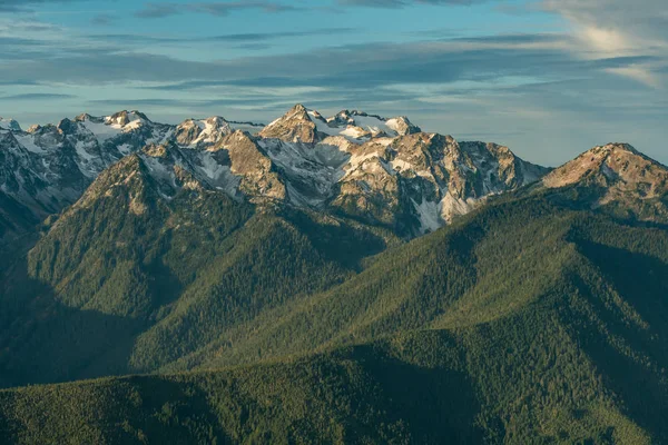 Bosques verdes debajo de los picos nevados —  Fotos de Stock