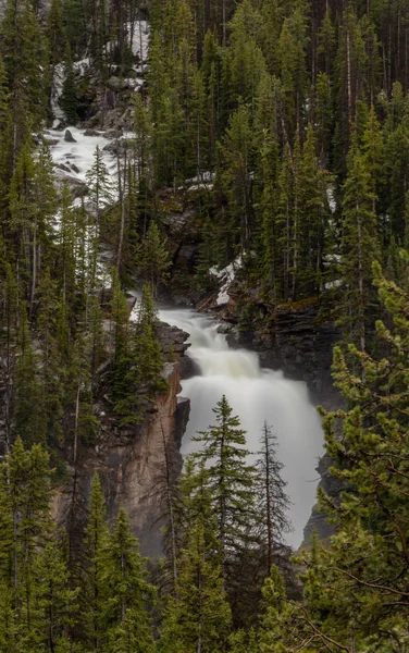 Beartooth Falls en Absaroska Wilderness — Foto de Stock