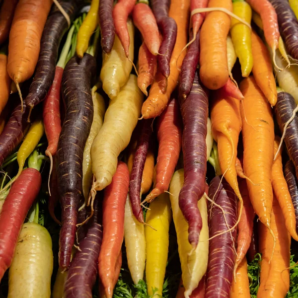 Барвисті моркви в кошику — стокове фото