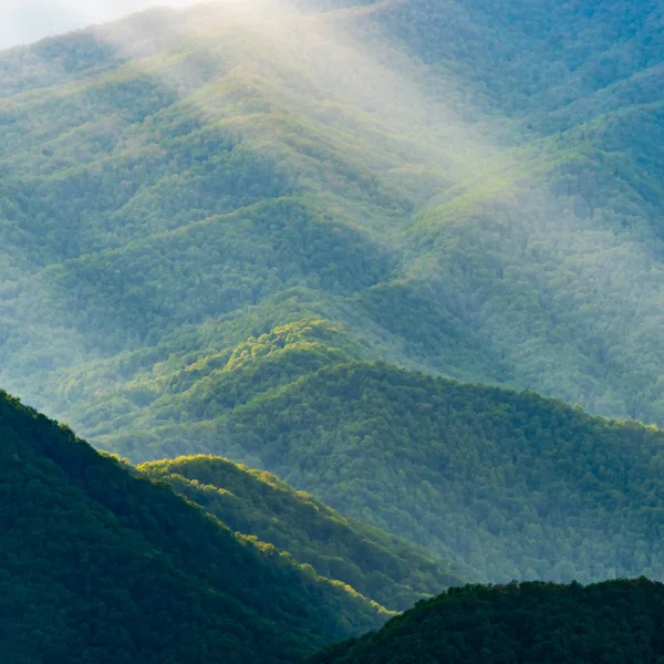 Detalles de Green Mountain Slopes con rayos de sol —  Fotos de Stock