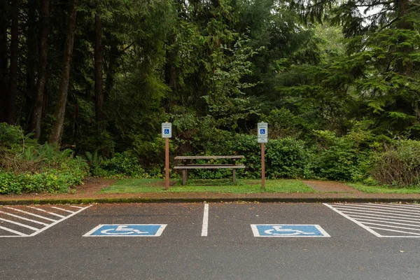 障害者の駐車標識とスペース — ストック写真