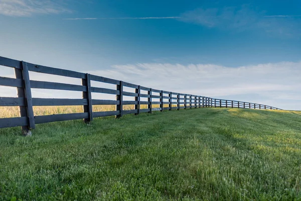 Erba verde con recinzione nera sopra la collina — Foto Stock