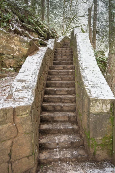 Narrow Stairs in The Woods — Stock Photo, Image