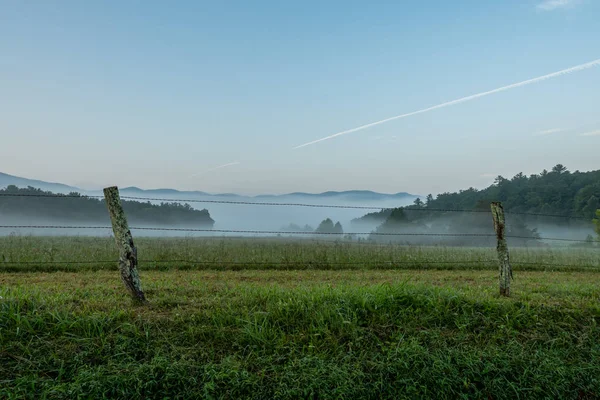 Old Fence Guards Morning Fog — Stock Photo, Image