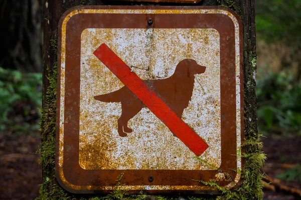 Oude No Dogs teken — Stockfoto