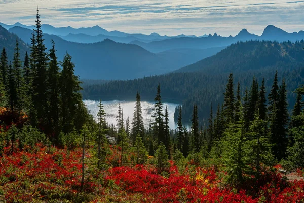Red Huckleberry and Pine Trees in Front of Dewey Lake — Stock Photo, Image
