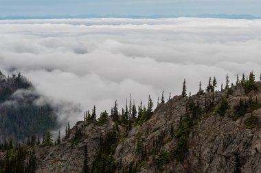 Washington'daki Olimpiyat Vadisi'nde Kalın Bulutlar