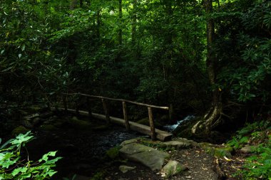 Dere üzerindeki tahta köprü.