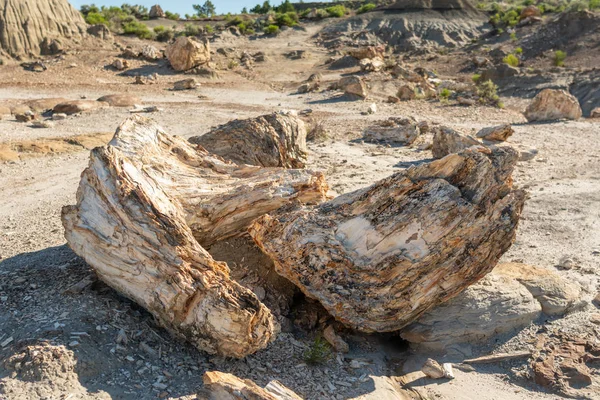 Сломанная окаменелая древесина в Бадлендсе — стоковое фото