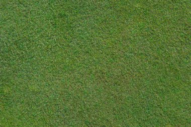 Yakın kadar yeşil golf