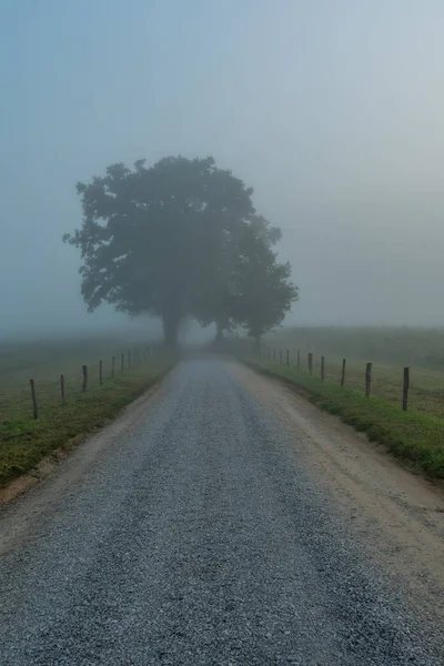 Hyatt Lane In the Fog — Stock Photo, Image