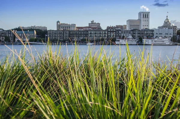 Savannah Riverfront arka planda çim — Stok fotoğraf