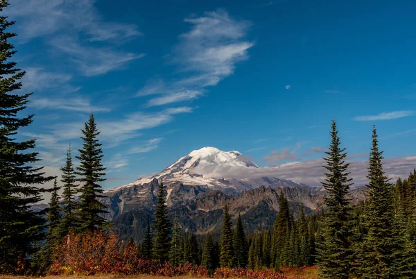 Mount Rainier Under Blå Himmel med fyrretræer - Stock-foto
