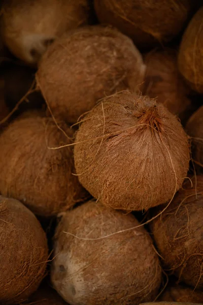 Stapel van kokosnoten — Stockfoto