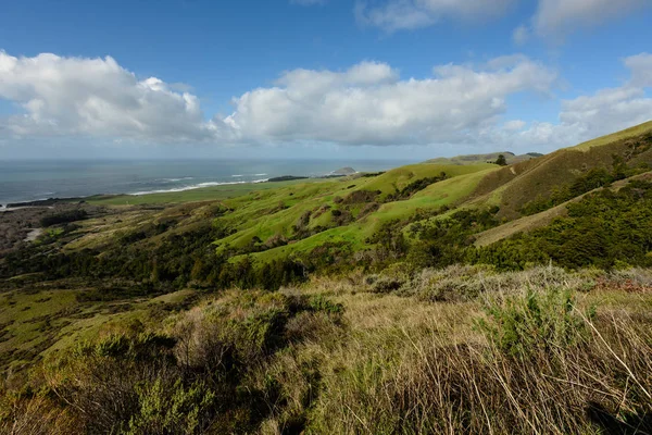 Rolling Green Hills le long de la côte de Big Sur — Photo