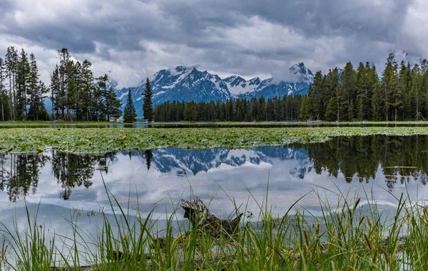 Tetonova škála odráží v Labutí rybníku — Stock fotografie