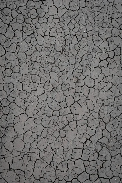 Száraz talaj textúra — Stock Fotó