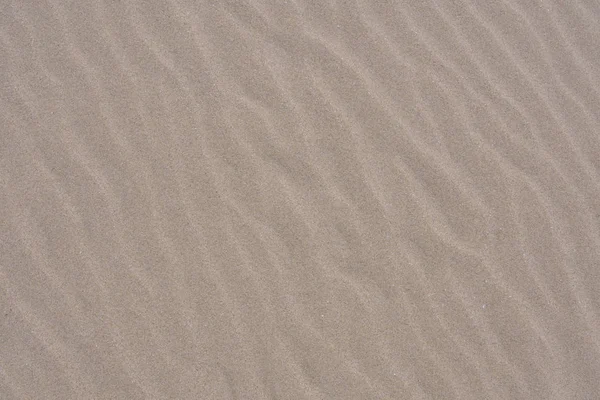 Morbide increspature nella sabbia lungo la costa del Pacifico — Foto Stock