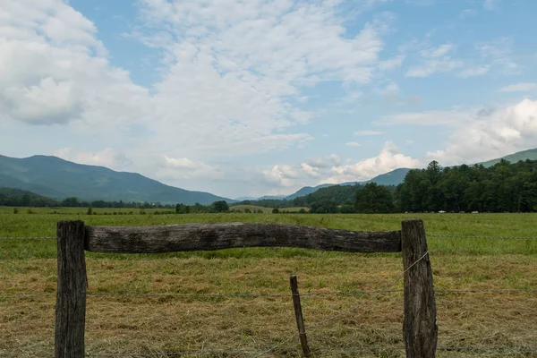 Looking Over Fence in Cades Cove — Stock Photo, Image