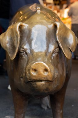 Pike Place Bronz Domuz Close Up