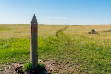 Taşlaşmış İz Kavşak İşareti