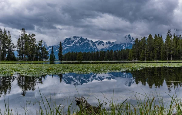 Weerspiegeling van de Teton Range in stilstaand water — Stockfoto